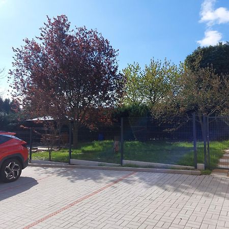 Penzion U Novotnych Jiřetín pod Jedlovou Buitenkant foto